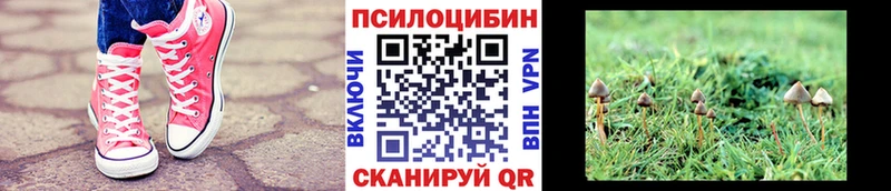 Галлюциногенные грибы MAGIC MUSHROOMS  Реж 